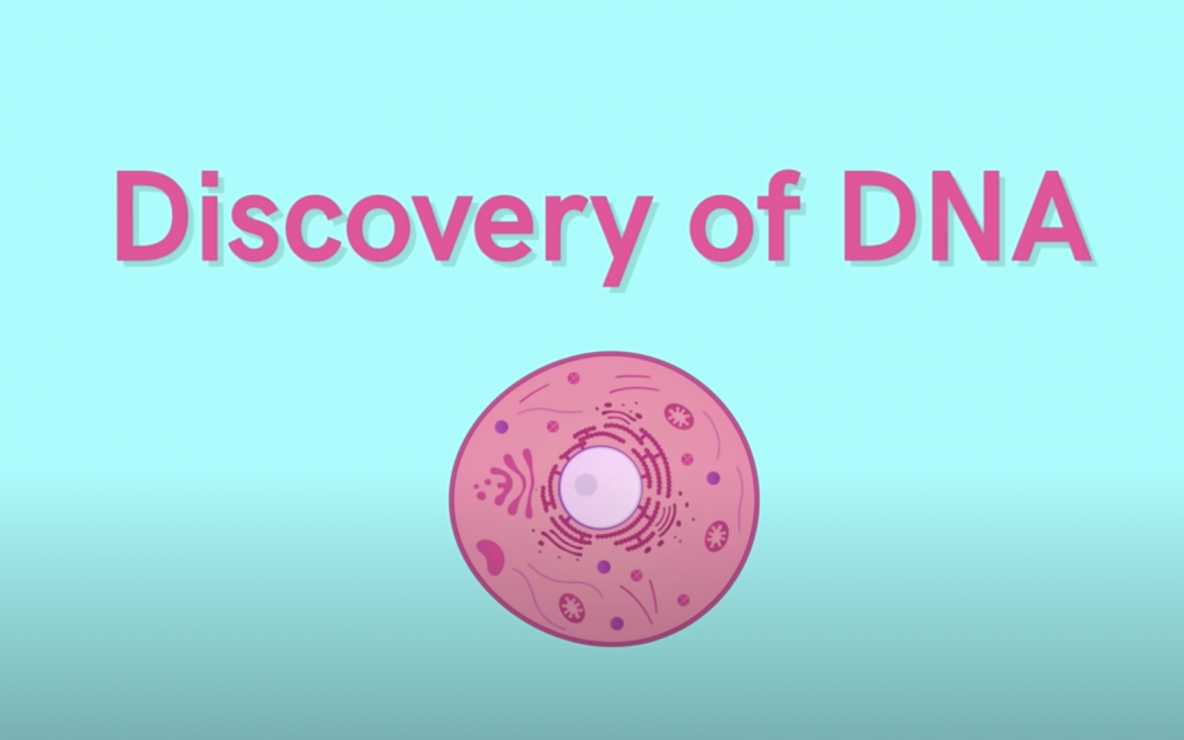 Interesante video de la historia del DNA, disponible en YouTube.