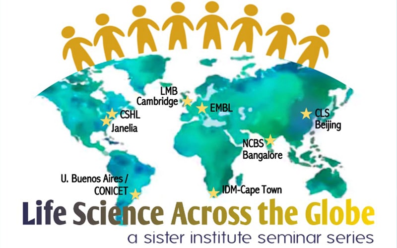 Seminarios virtuales “Life Science Across the Globe” organizados por Janelia/HHMI