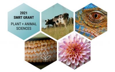 2021 PLANT & ANIMAL SCIENCES SMRT GRANT