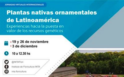 JORNADAS VIRTUALES INTERNACIONALES: PLANTAS NATIVAS ORNAMENTALES DE LATINOAMÉRICA