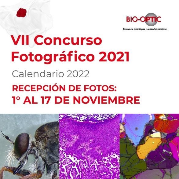 VII CONCURSO FOTOGRÁFICO 2021. BIO-OPTIC