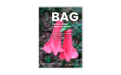 BAG V. XXXIII Issue 1 2022