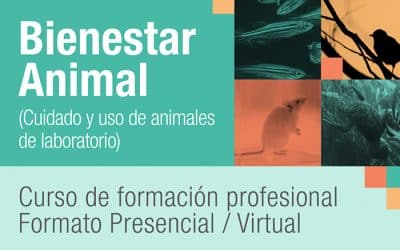 Curso de Formación Profesional Bienestar Animal: Cuidado y Uso de Animales de Laboratorio