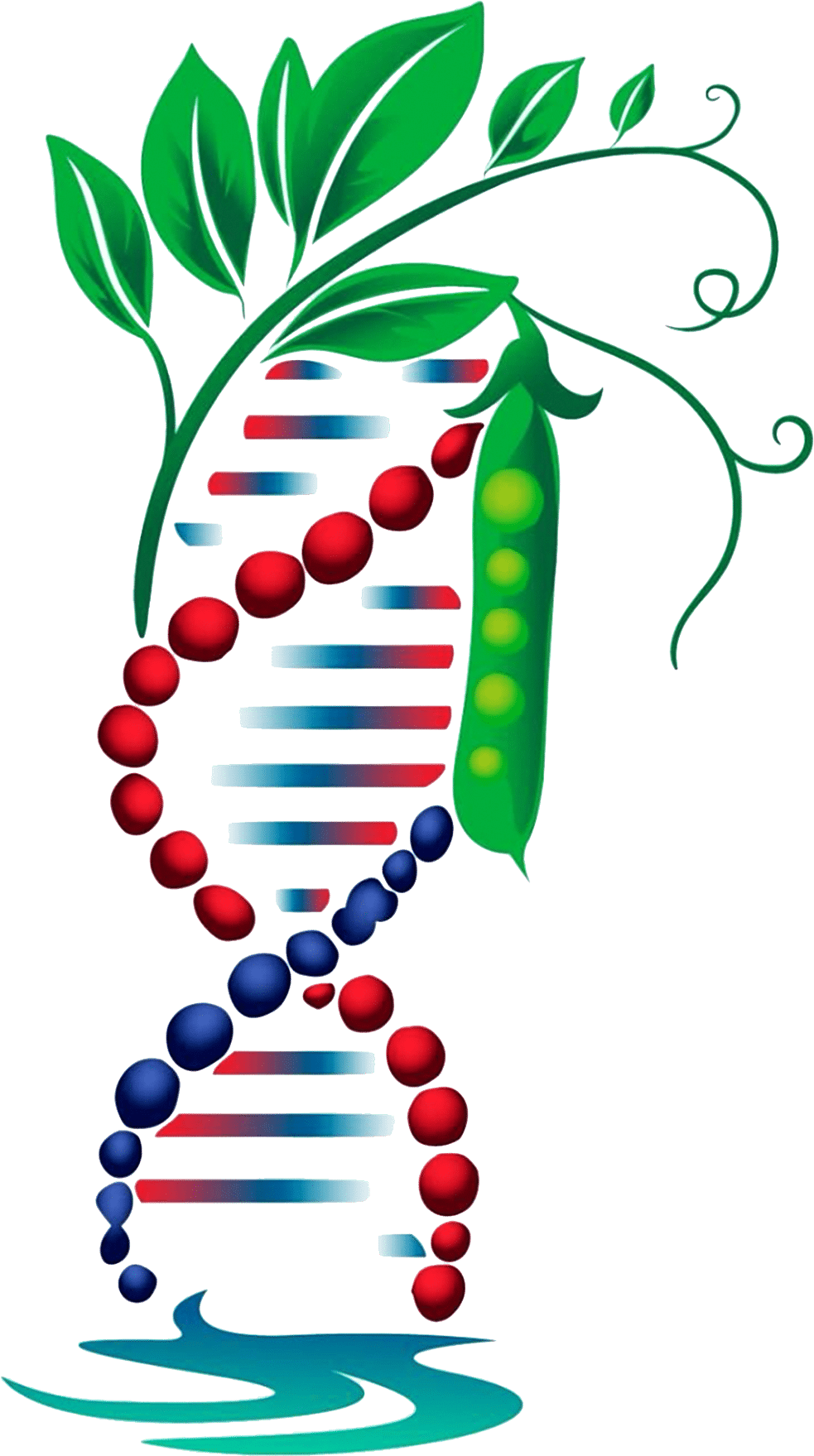 logo2