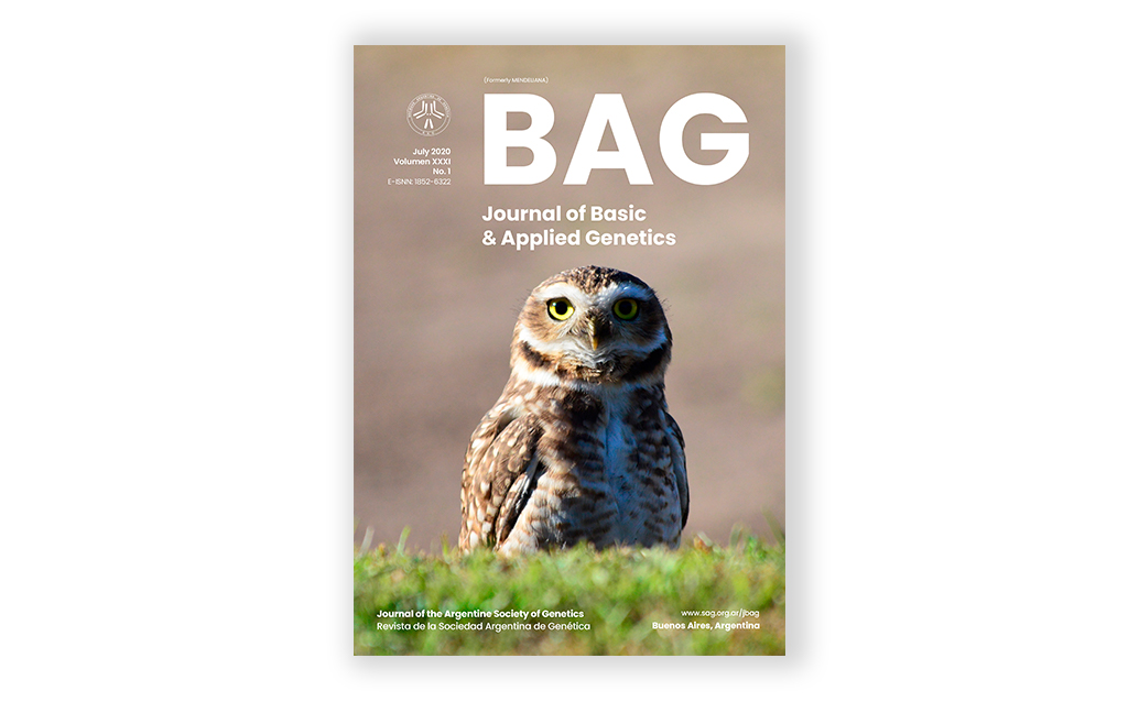 Revista BAG / Vol. XXXI Issue 1 2020