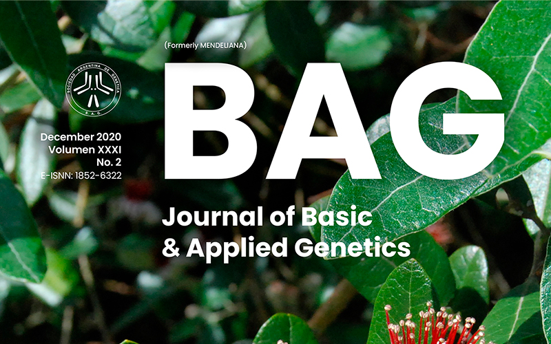 REVISTA BAG Vol. XXXI Isssue 2 2020