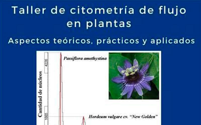 TALLER DE CITOMETRÍA DE FLUJO EN PLANTAS
