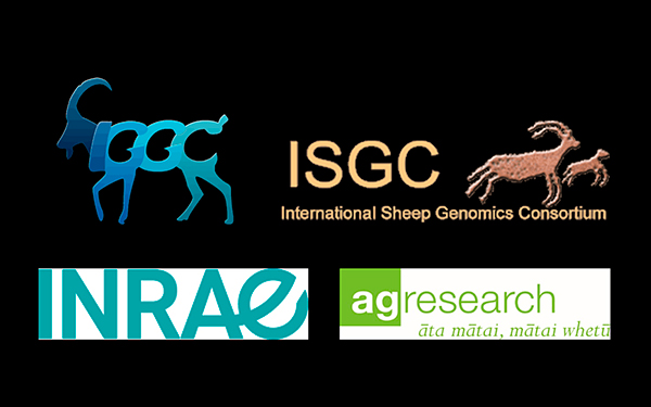 INTERNATIONAL SHEEP AND GOAT GENOMICS CONSORTIUM VIRTUAL ANNUAL MEETING