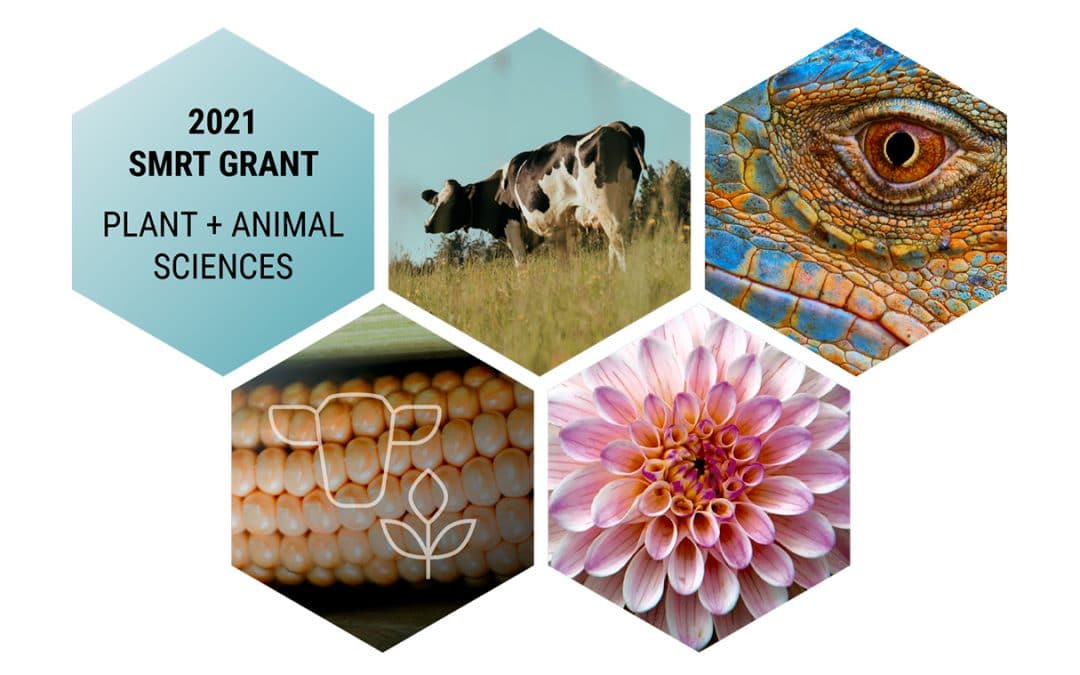 2021 PLANT & ANIMAL SCIENCES SMRT GRANT