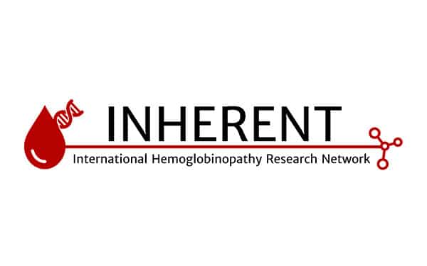 PARTICIPACIÓN EN INHERENT