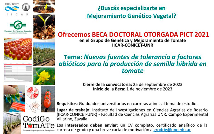 BECA DOCTORAL: ‘’Nuevas fuentes de tolerancia o factores abióticos para la producción de semilla híbrida en tomate’’