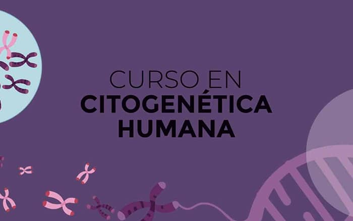 CURSO DE CITOGENÉTICA HUMANA DEL INSTITUTO CROM