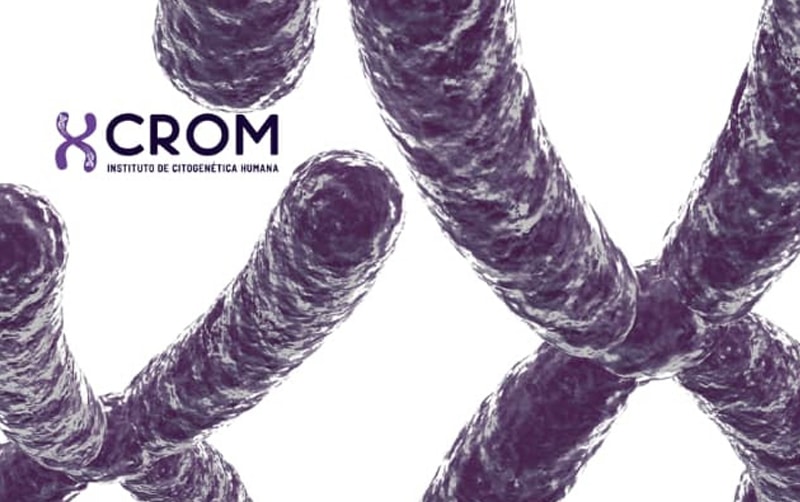 CURSOS DICTADOS DESDE CROM