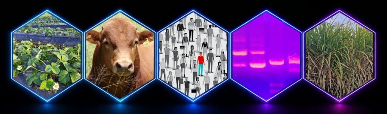 Áreas de la genética: mejoramiento vegetal, animal, genética humana, biotecnología y recursos genéticos